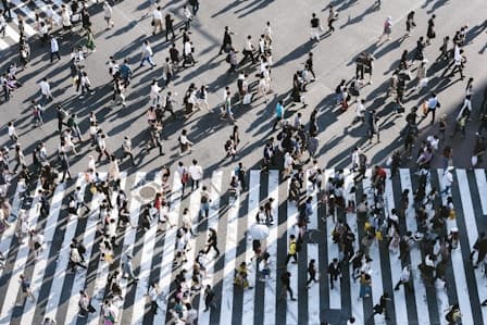 aerial view of people walking on road