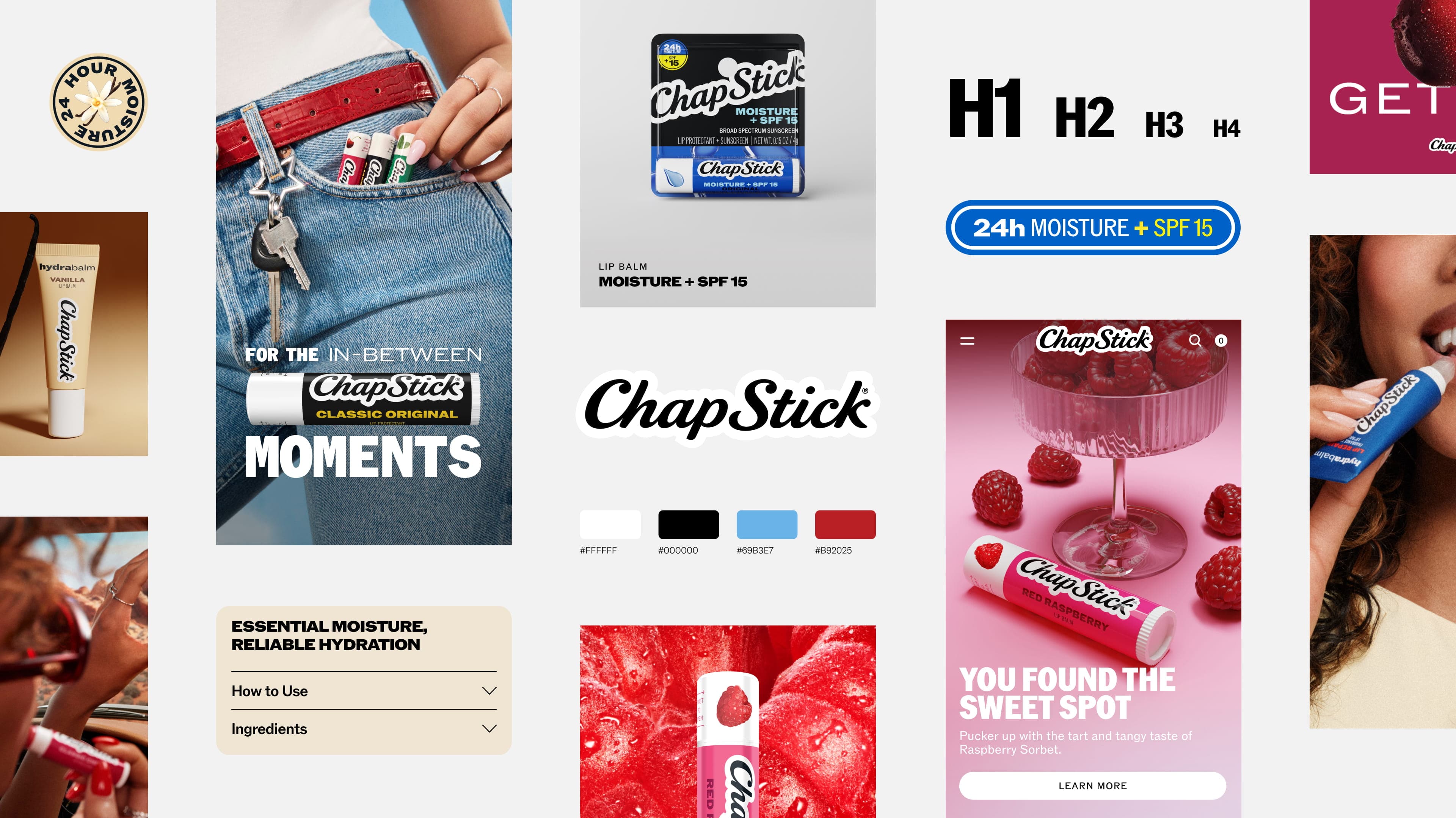 An overview of various Chapstick brand elements including the logotype, brand colours, modules from the website, typography scale.