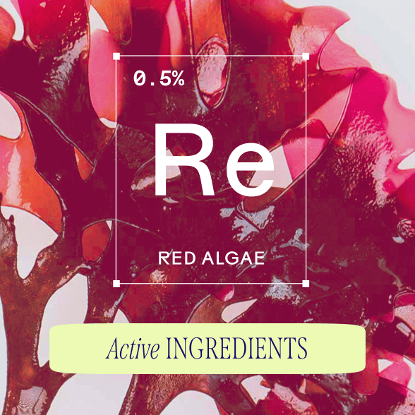 Close-up of red algae with text indicating 0.5% concentration and "Re" representing red algae. The phrase "Active Ingredients" is below.